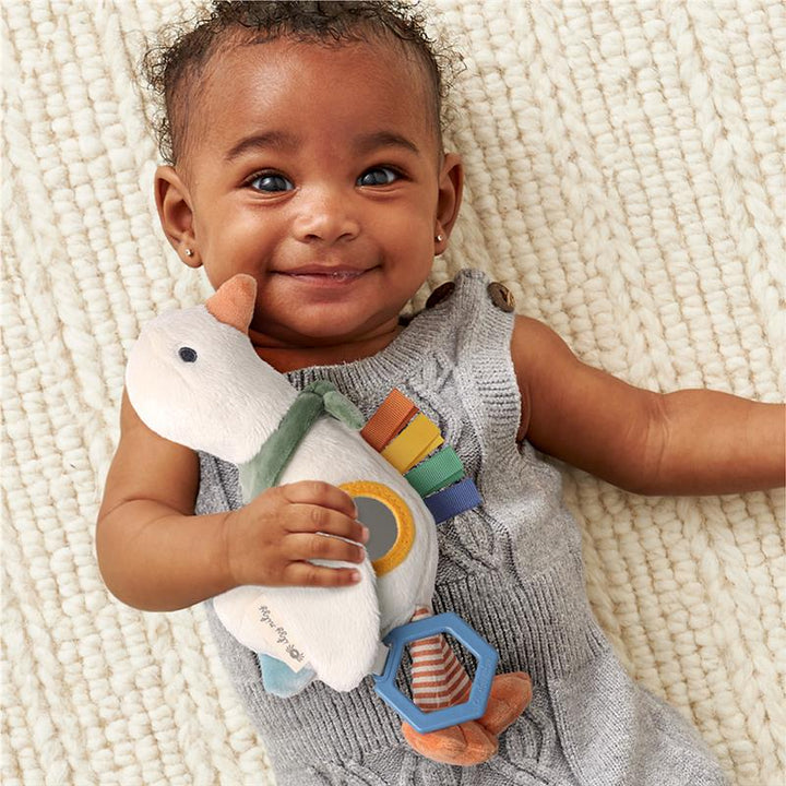 Goose Bitzy Traveler Toy - Itzy Ritzy