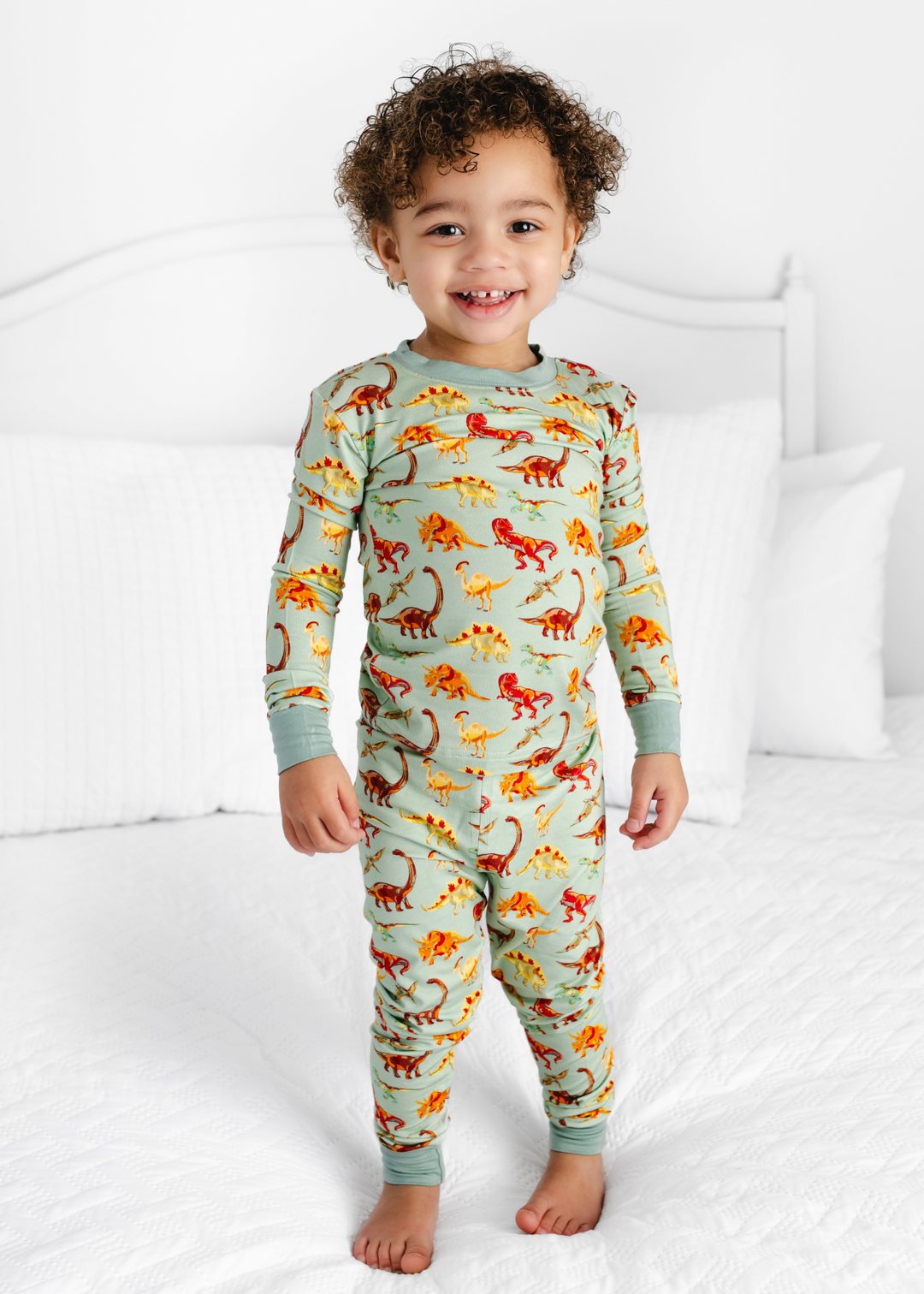 Dinosaurs Bamboo Pajama Set
