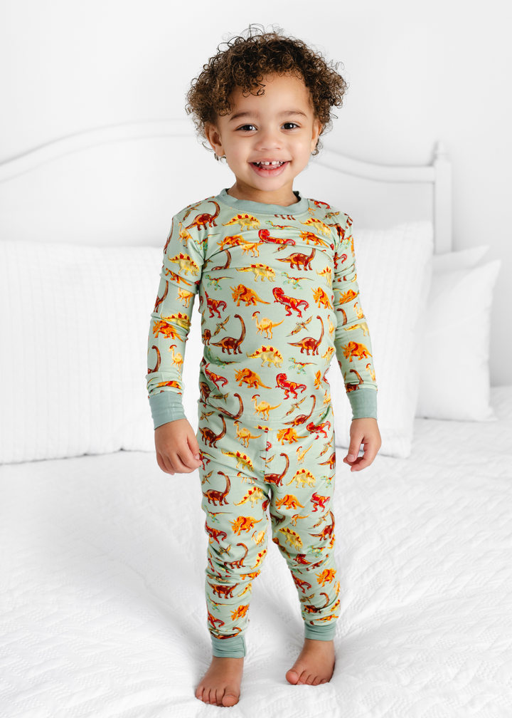 Dinosaurs Bamboo Pajama Set