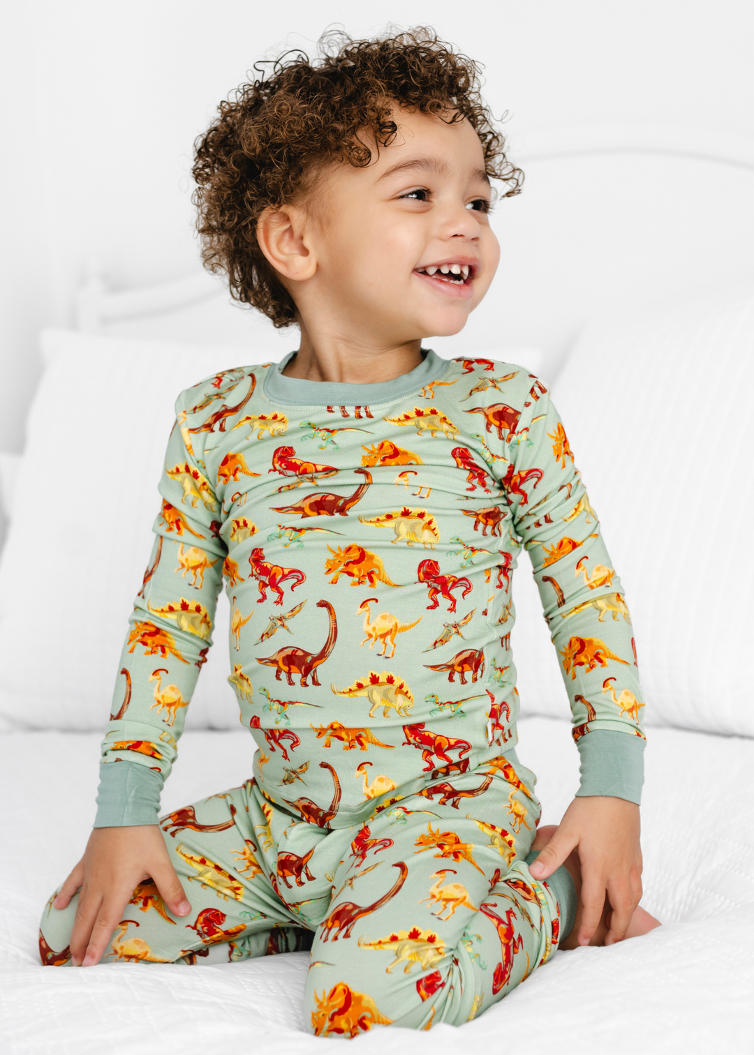 Dinosaurs Bamboo Pajama Set