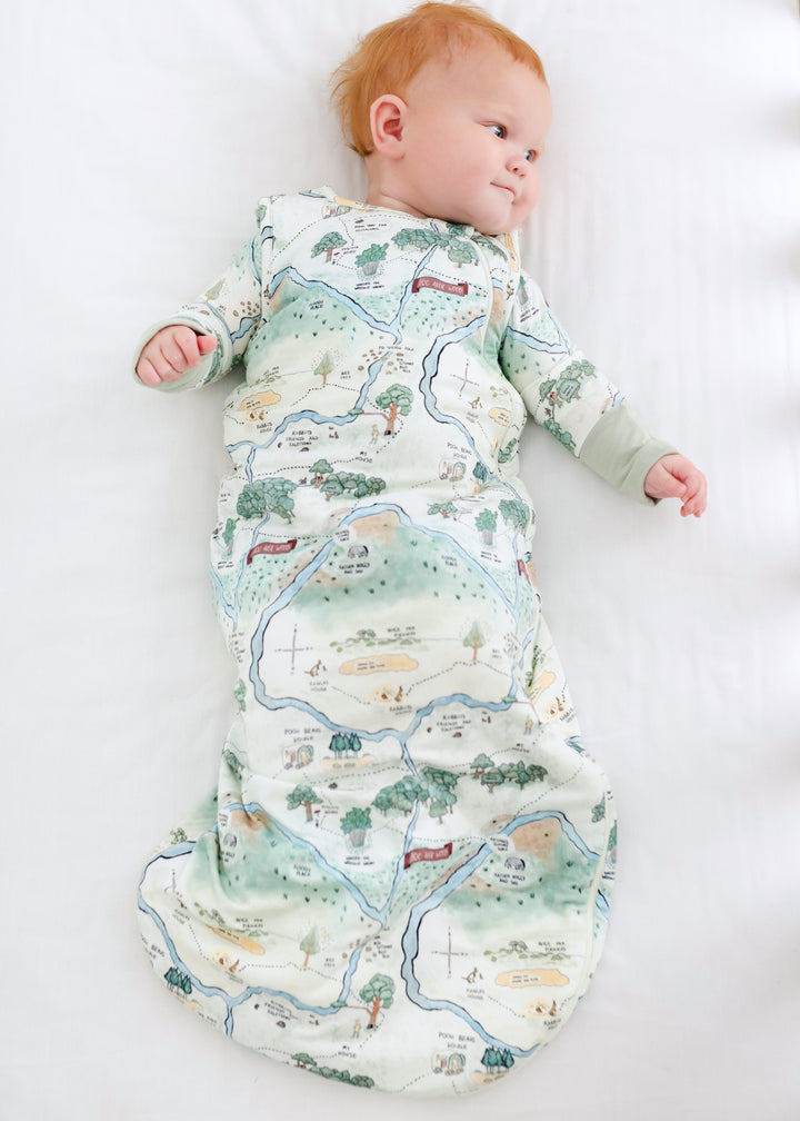 Hundred Acre Woods sleep sack with baby. Winnie the Pooh map themed sleep sack with baby.