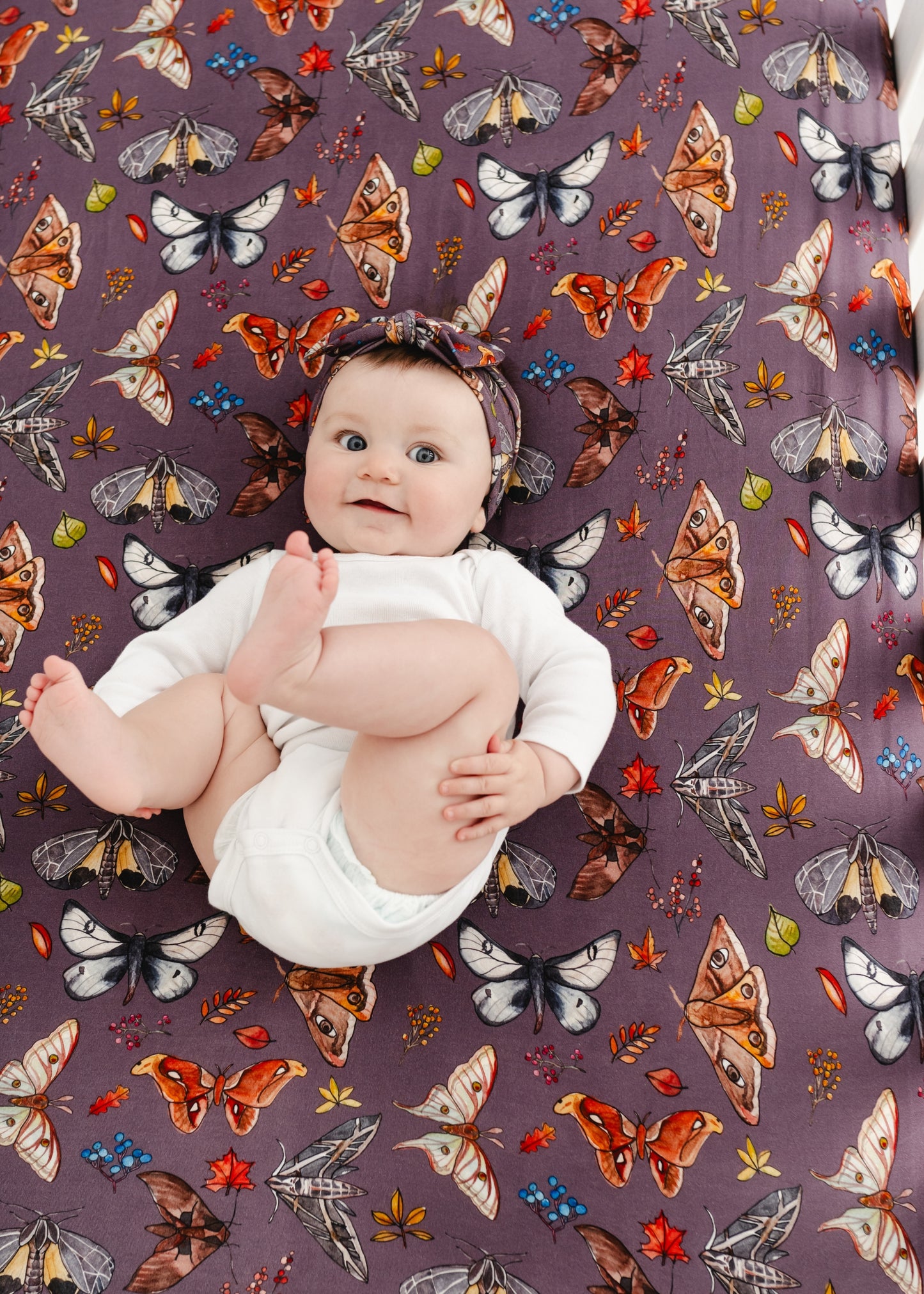 The Moths Plum Crib Sheet