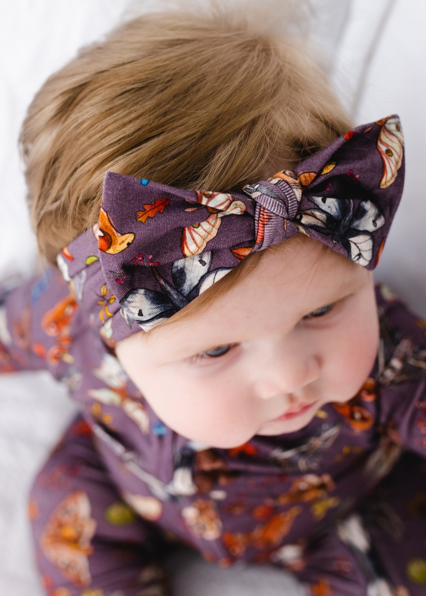 Two Pack Hair Bows (Moth Collection)