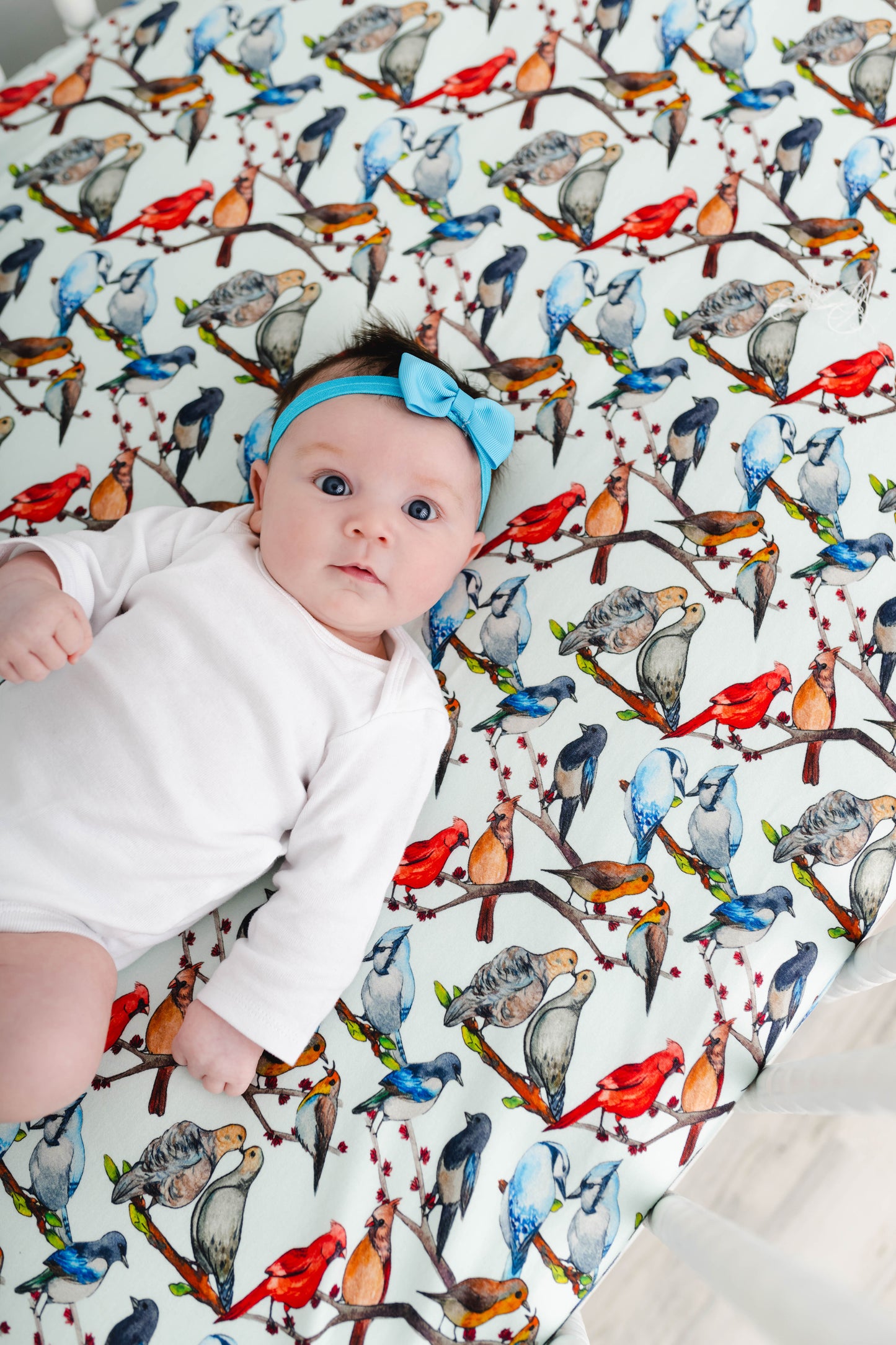 LOVE BIRDS CRIB SHEET