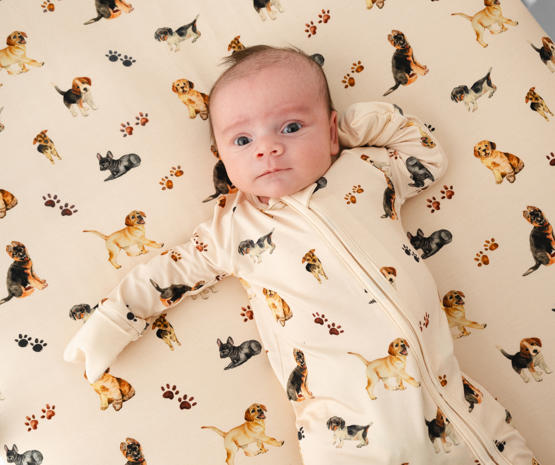 Puppies and Paw Prints