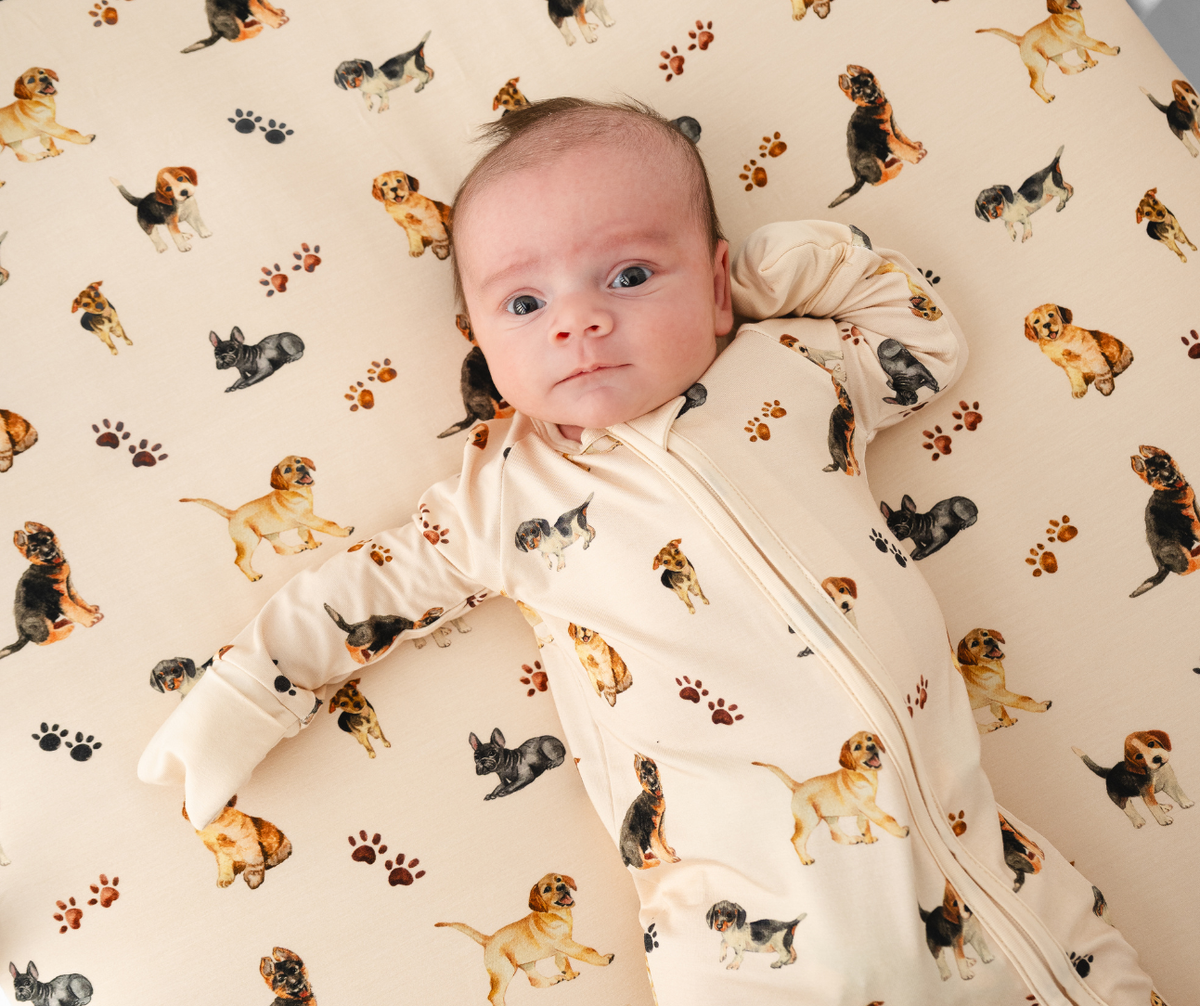Puppies and Paw Prints