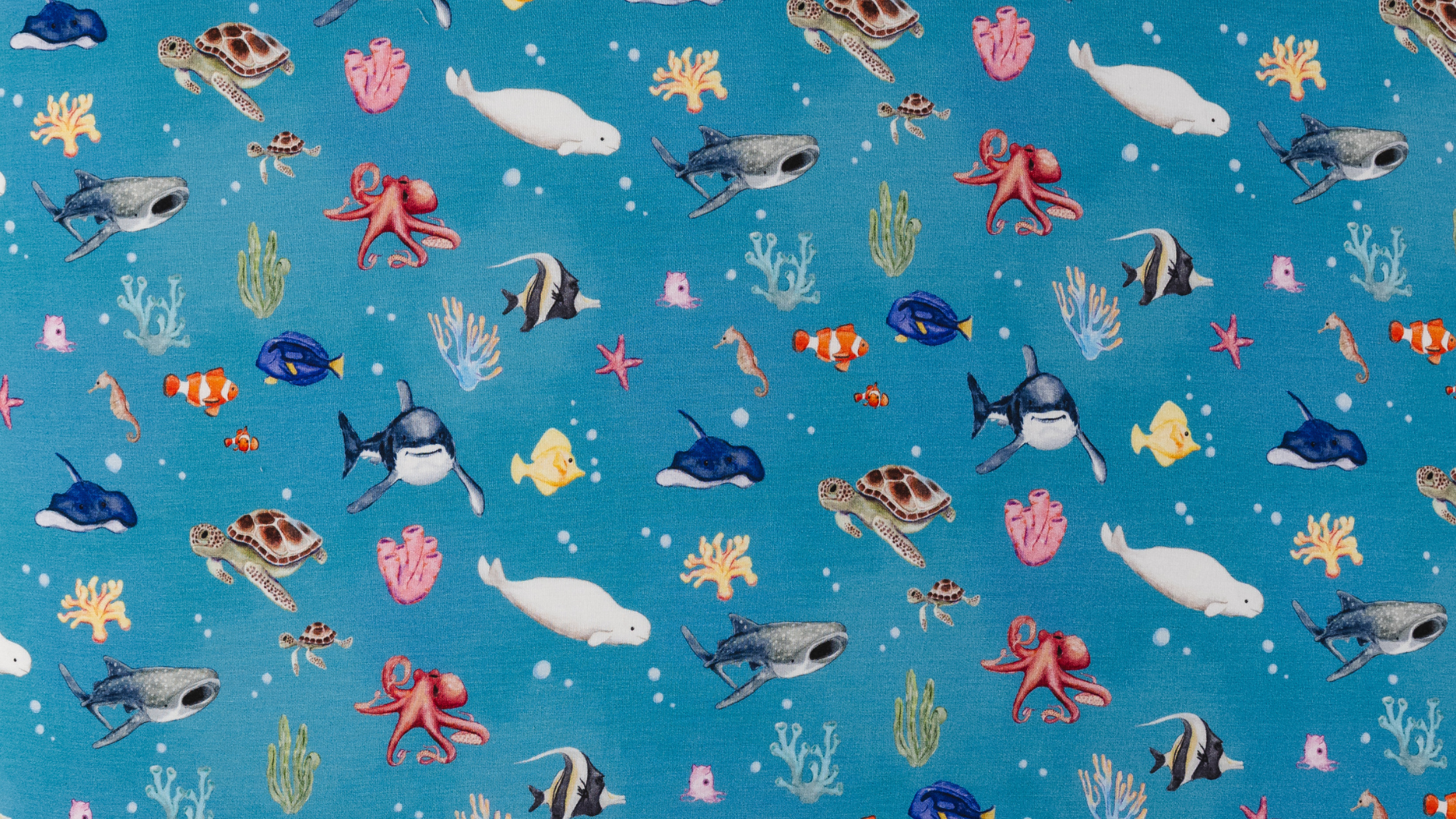 *PREORDER - FISH ARE FRIENDS*
