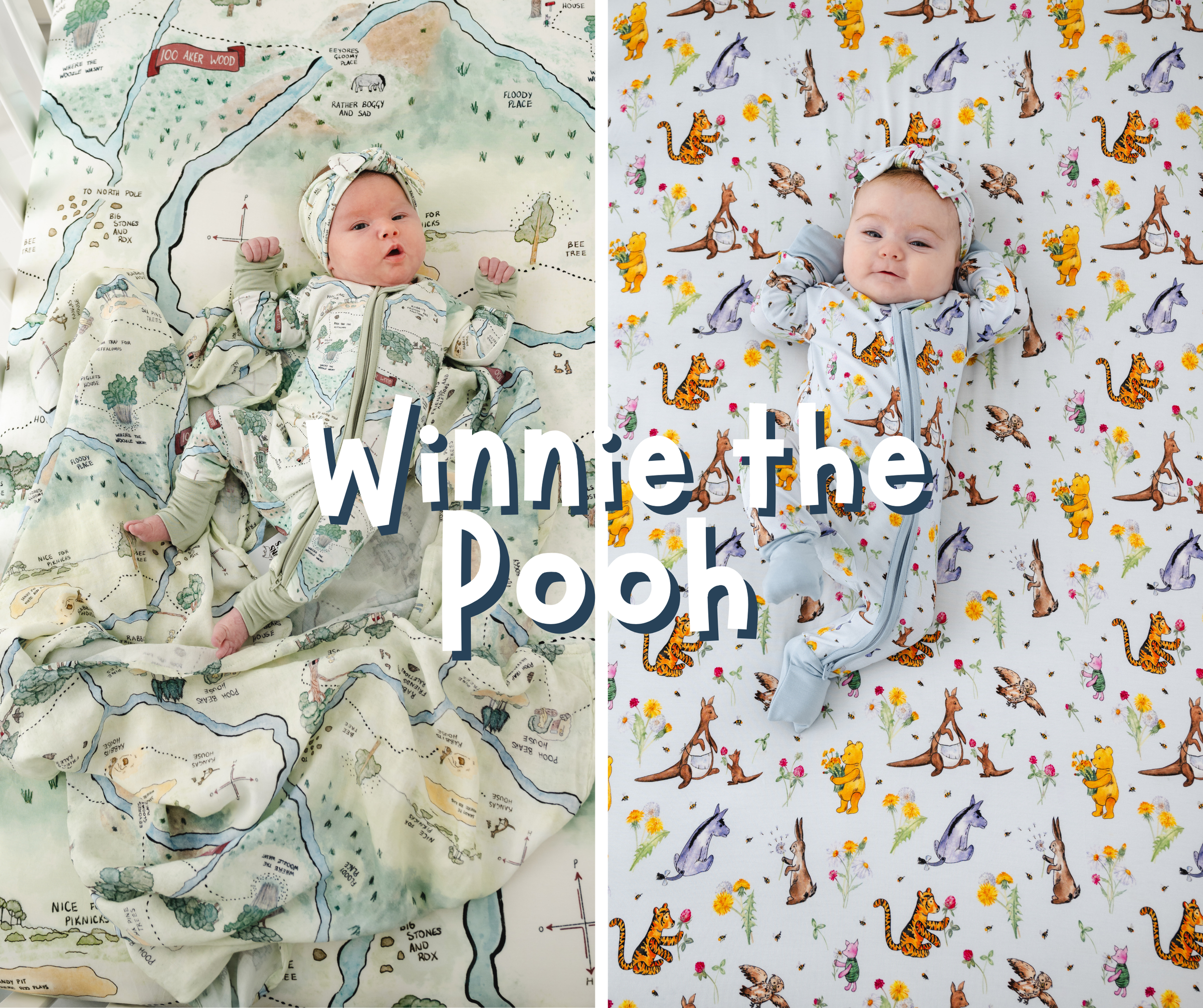 Winnie-the-Pooh Collection