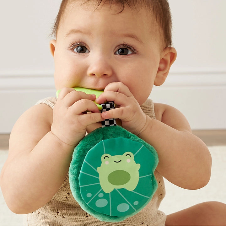Crinkle Frog Silicone Teether - Itzy Ritzy