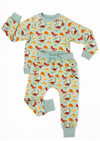 Dinosaurs Jogger Set