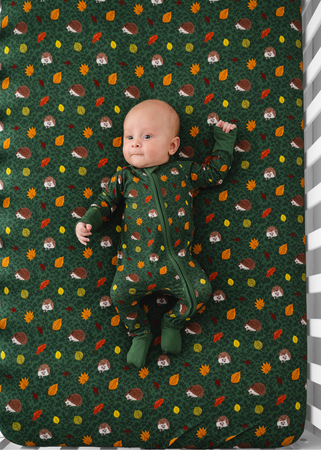 Hedgehogs Bamboo Zippered Sleeper