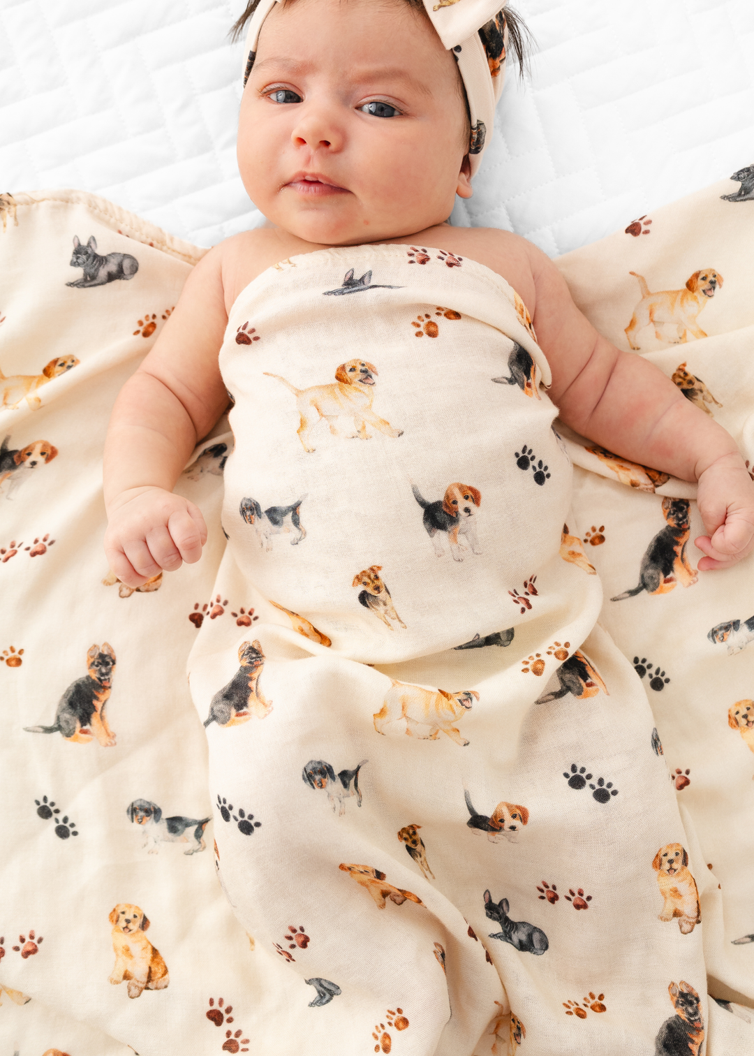 Puppies and Paw Prints Swaddle Blanket