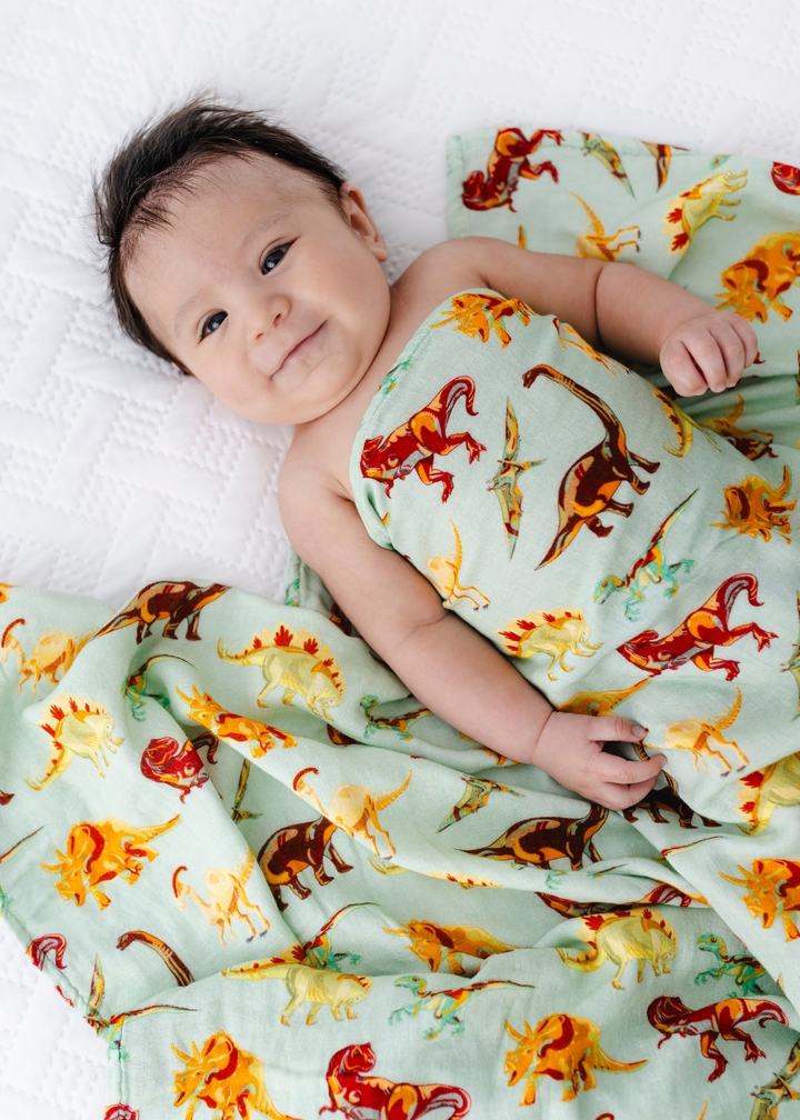 Dinosaurs Swaddle Blanket