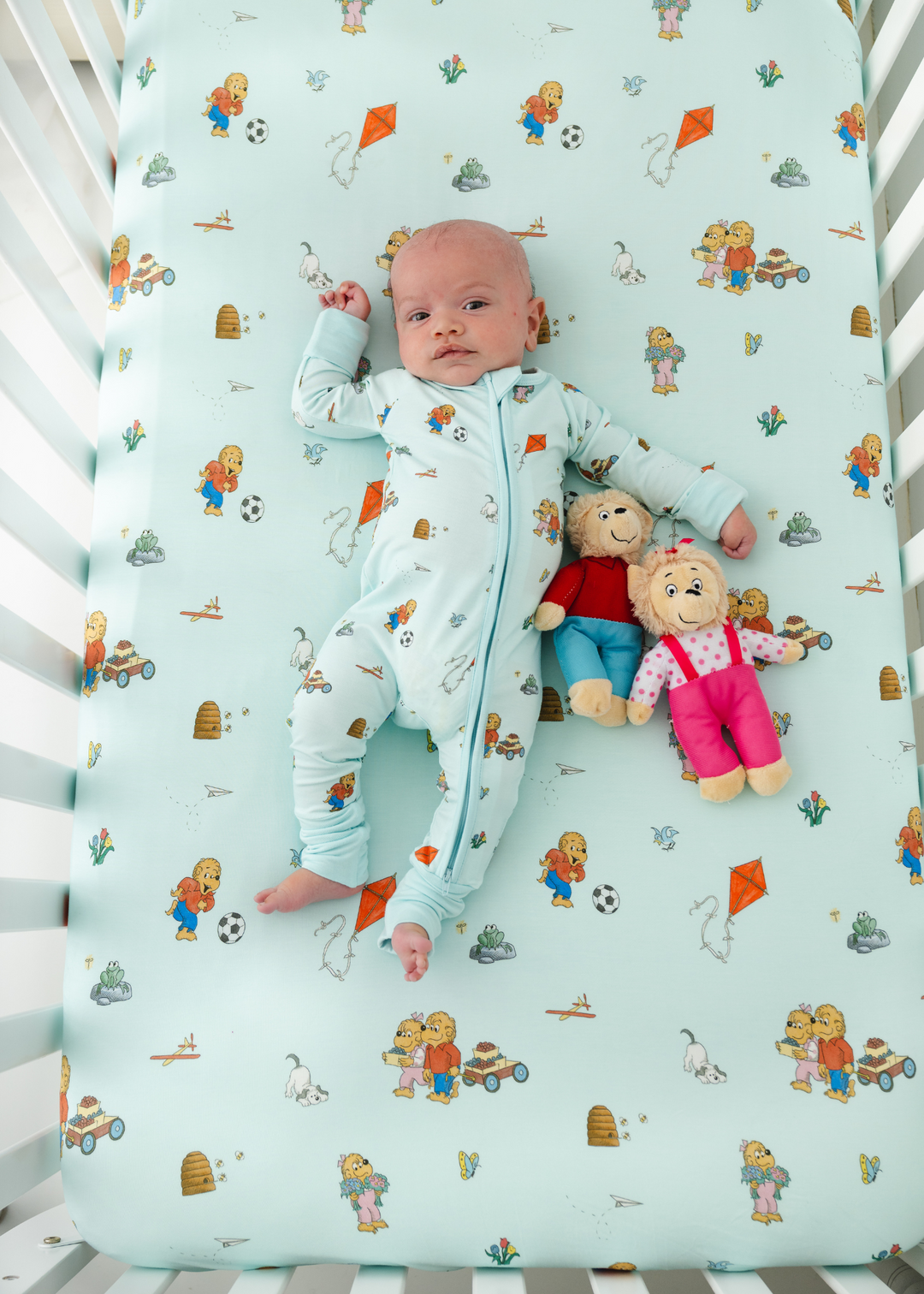 Berenstain Bears® Bamboo Crib Sheet