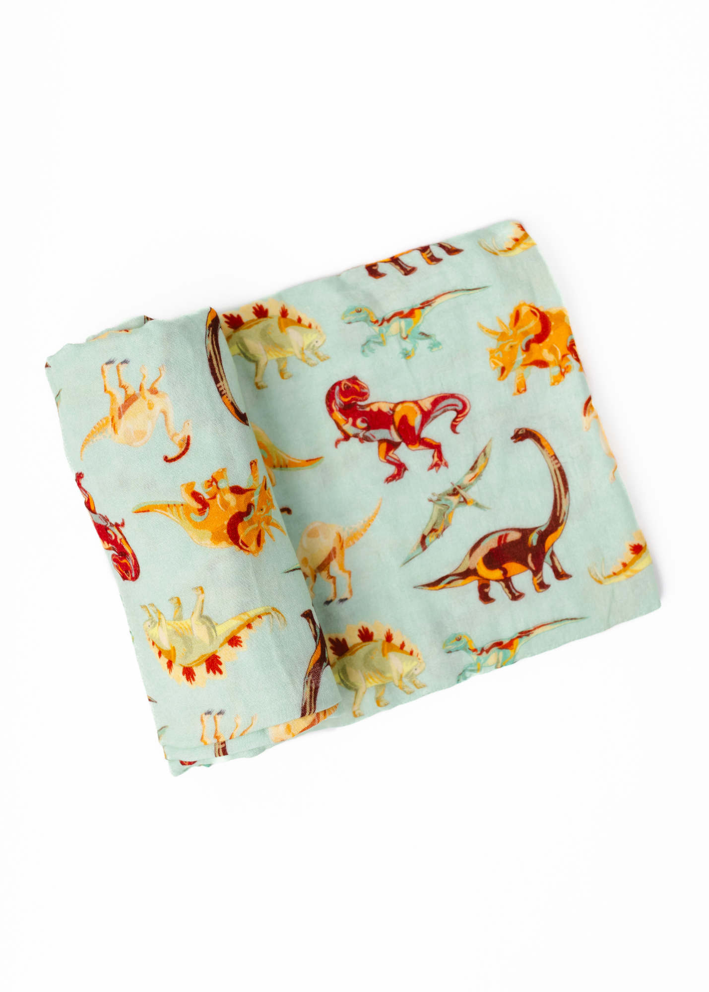 Dinosaurs Swaddle Blanket