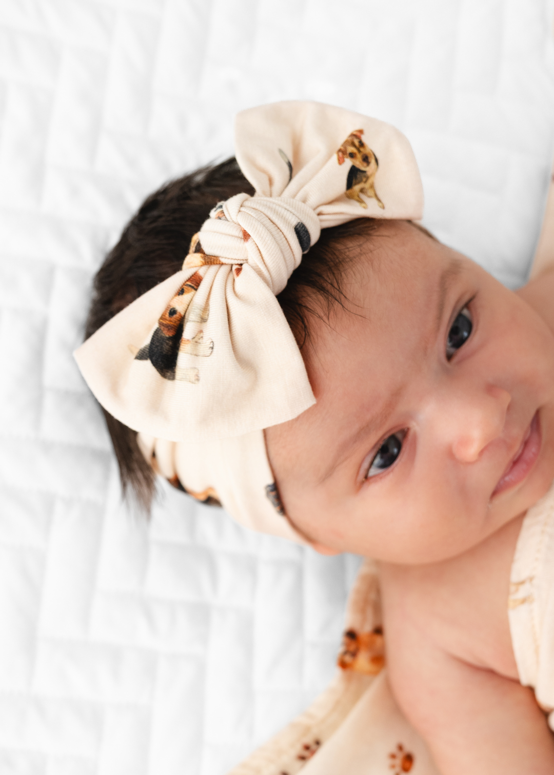 Puppies and Paw Prints Hair Bow
