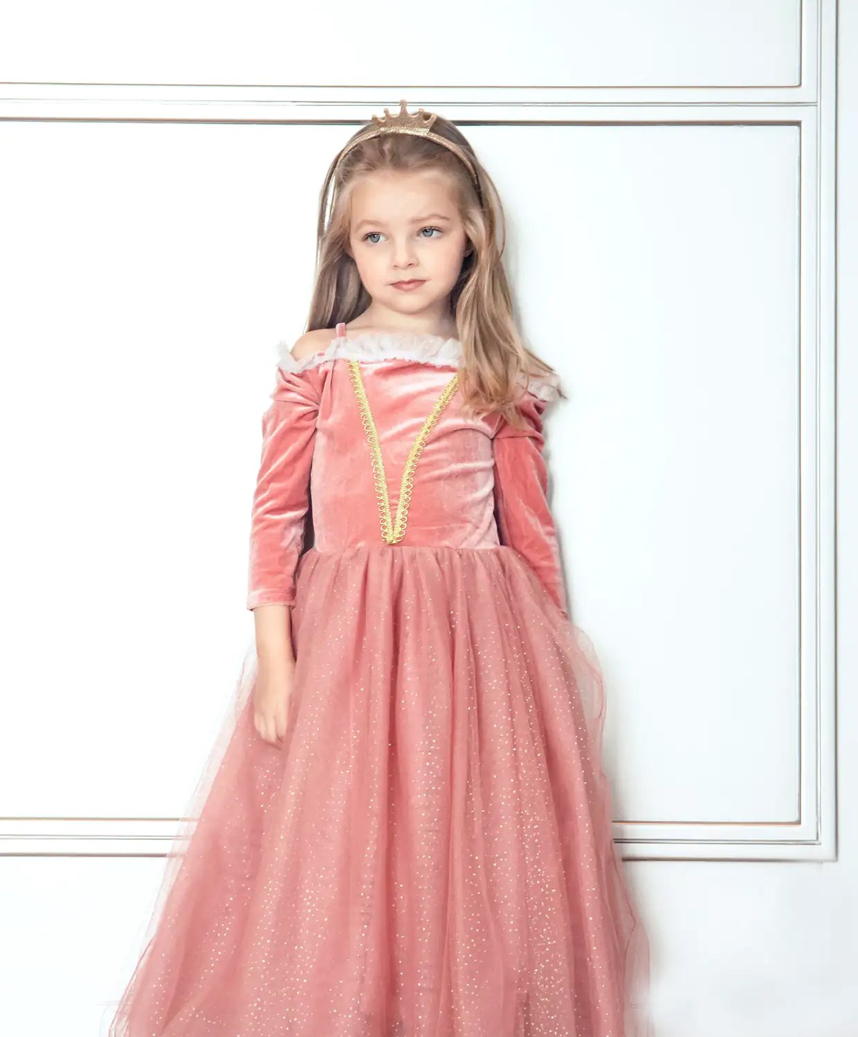 Sleeping Beauty Princess Costume Dress