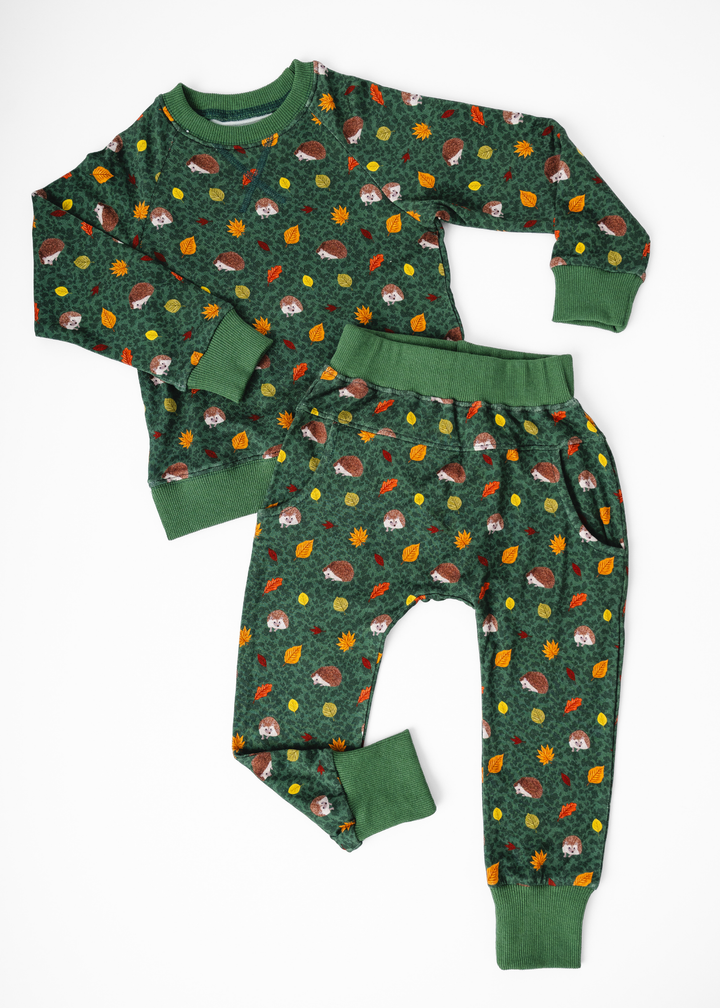 Hedgehogs Bamboo Kids Jogger Set
