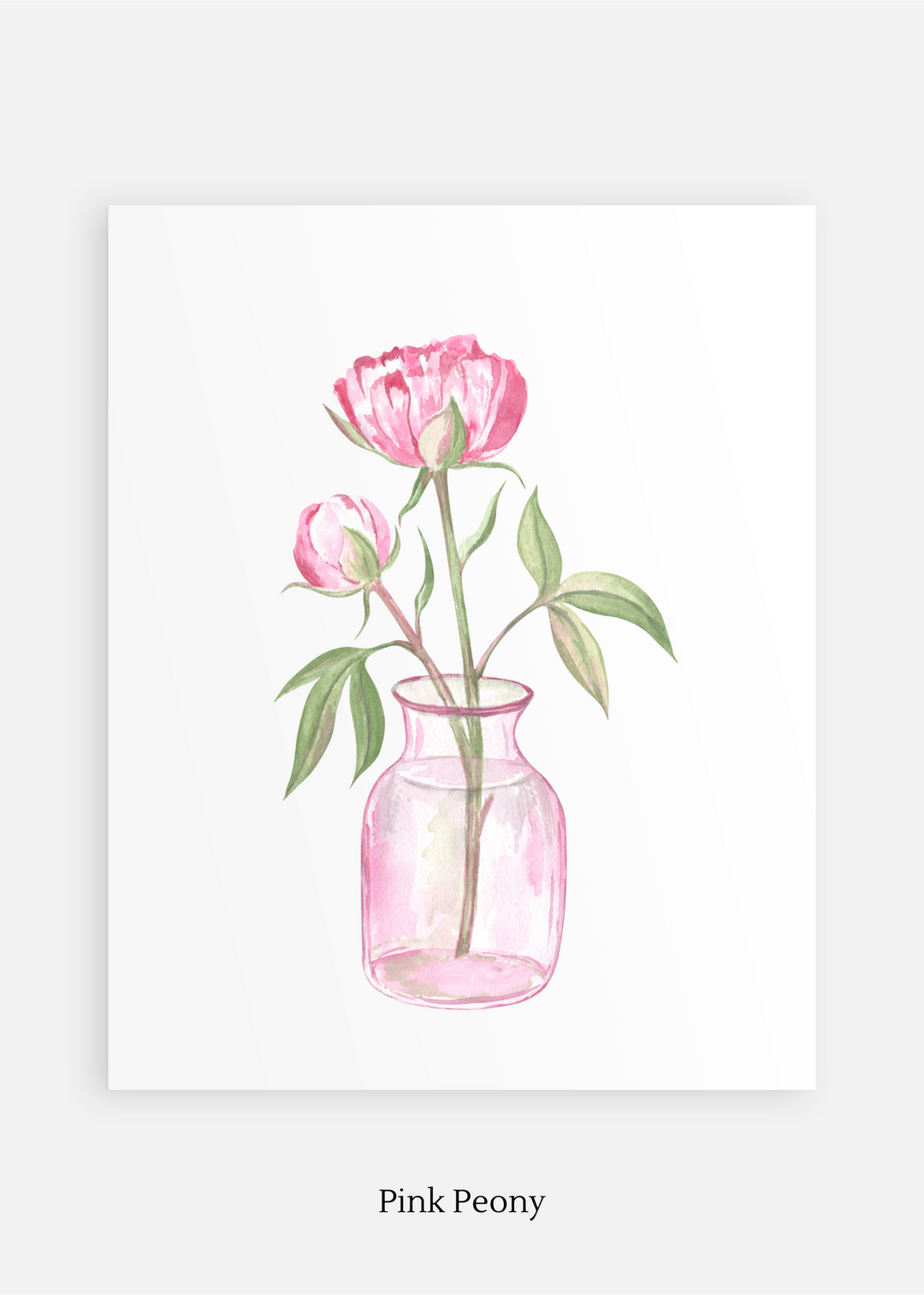 Flower Nursery Art Print Set of 6