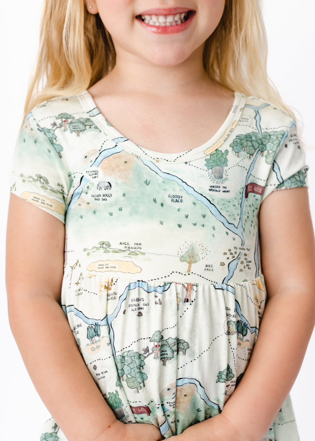 Hundred Acre Woods long sleeve twirl dress. Winnie the Pooh map themed long sleeve twirl dress bodice.