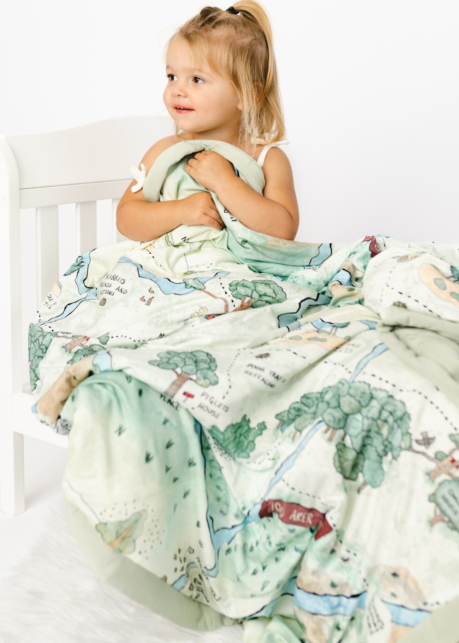 Aden and anais clearance lion king dream blanket