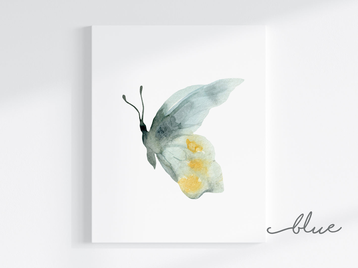 Butterflies Art Prints