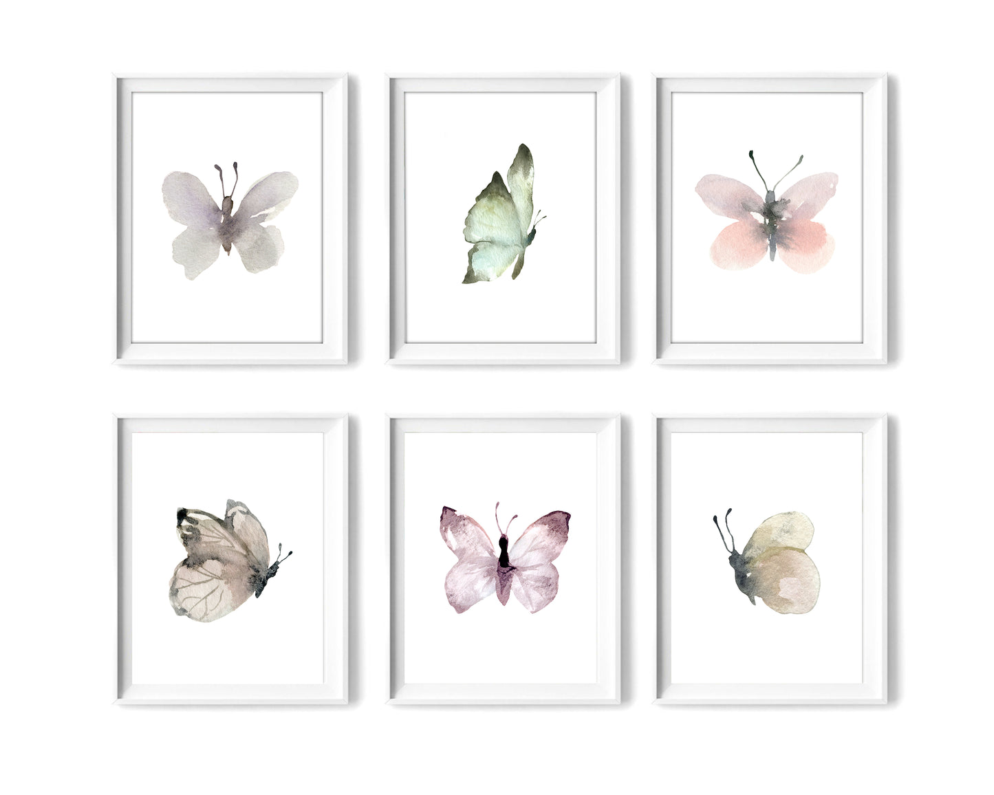 Butterflies Art Prints