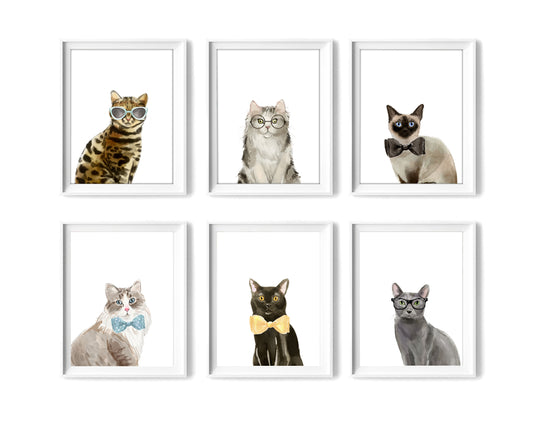 Cool Cats Art Prints