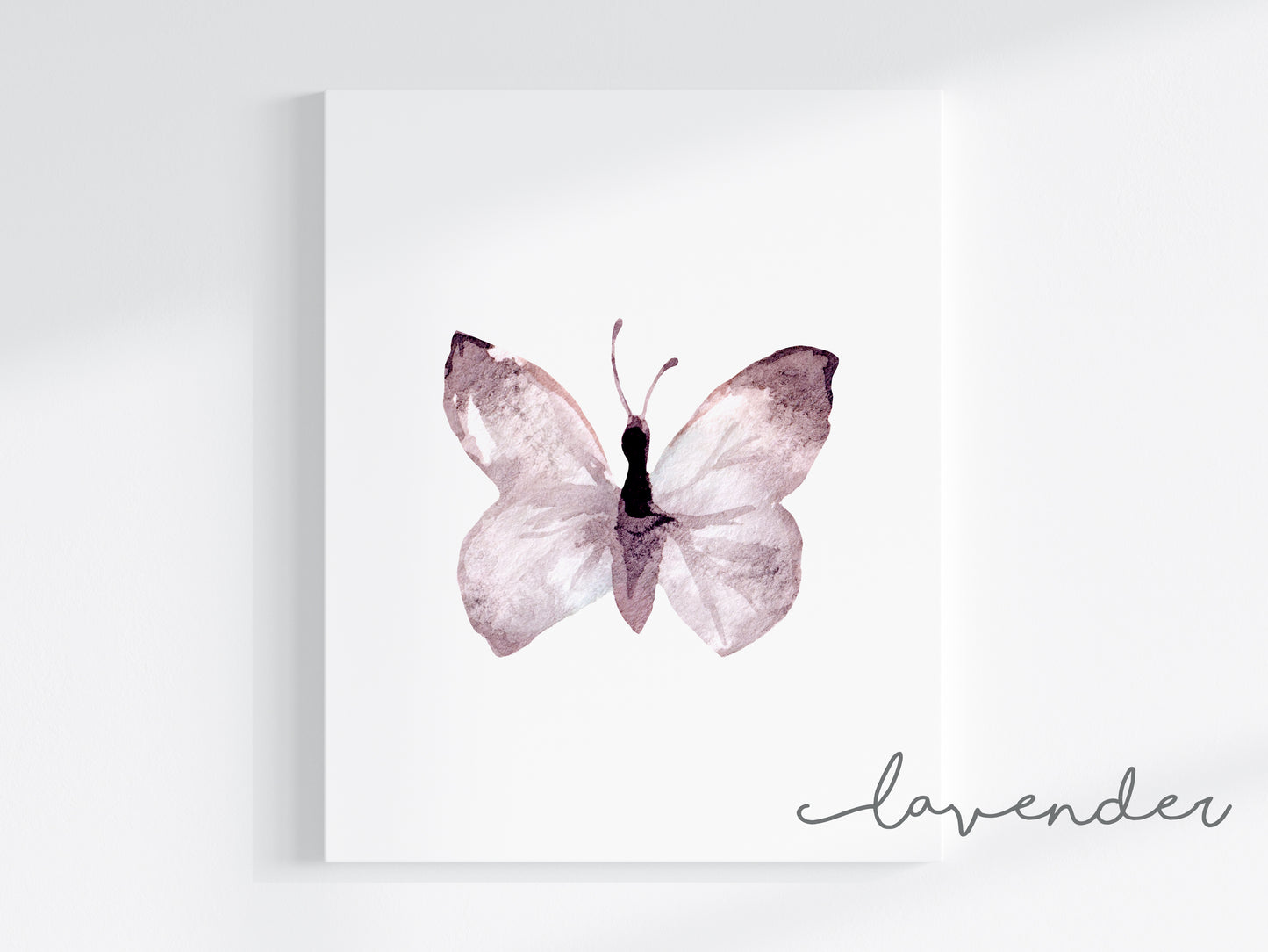 Butterflies Art Prints