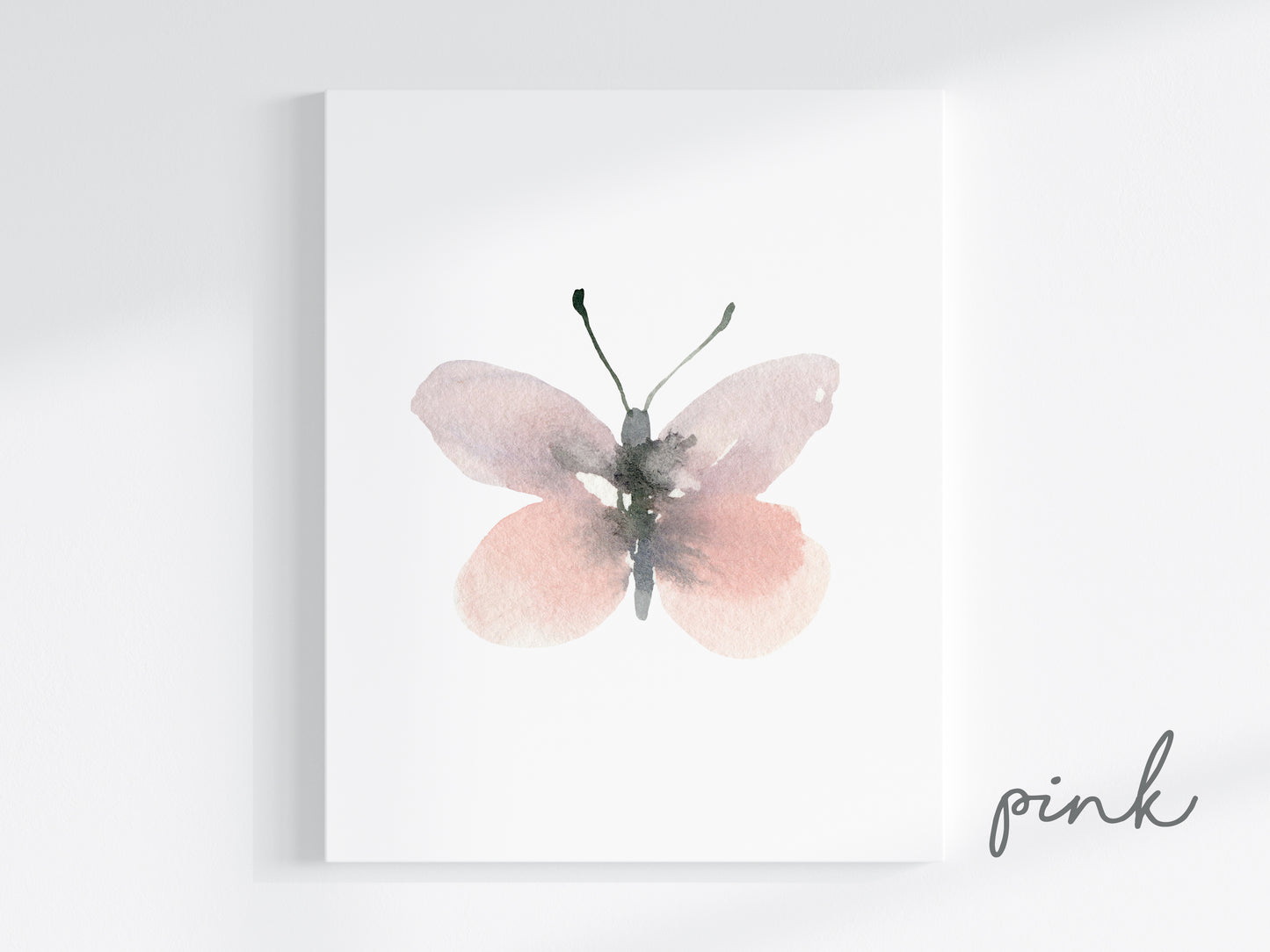 Butterflies Art Prints