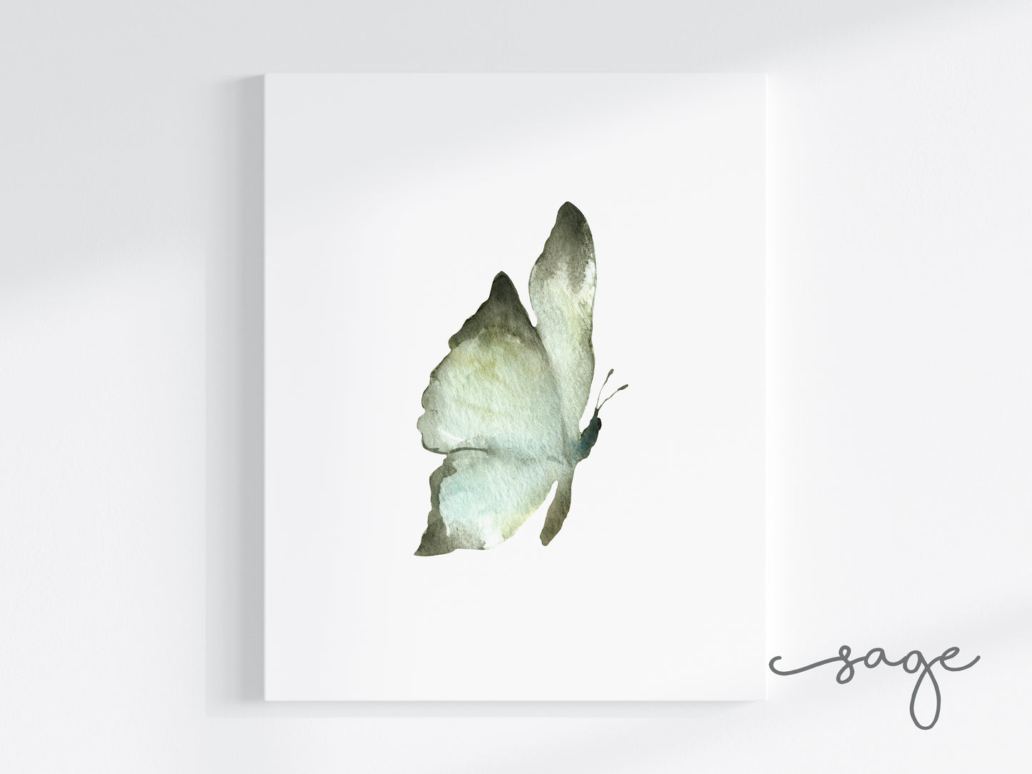 Butterflies Art Prints