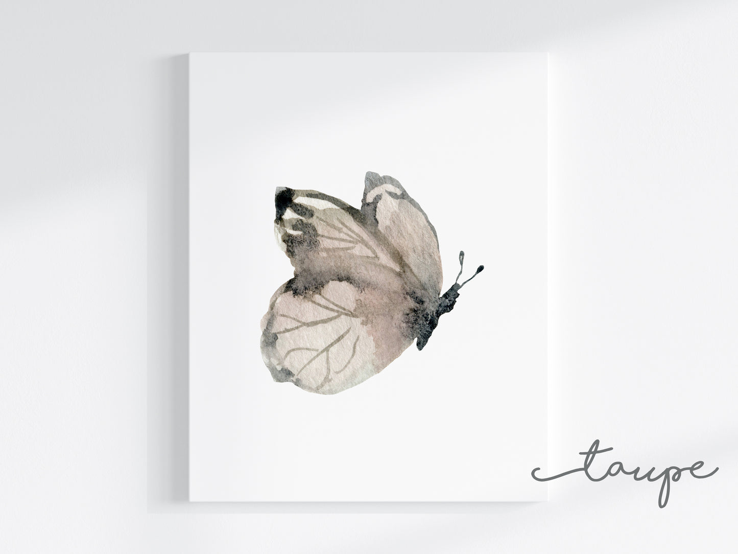 Butterflies Art Prints